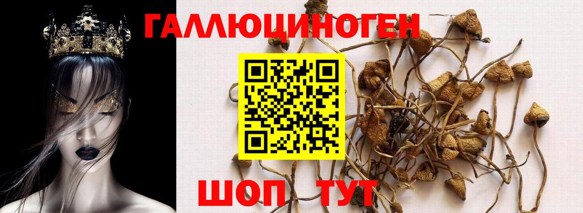 Рассказово  Псилоцибиновые грибы мухоморы  Вход с VPN 
