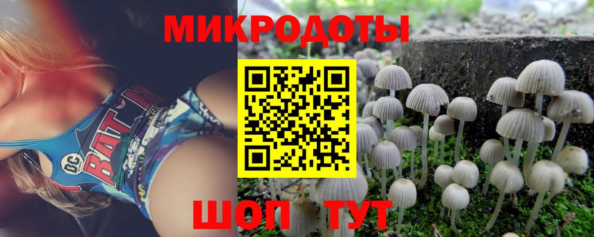 Галлюциногенные грибы GOLDEN TEACHER Рассказово